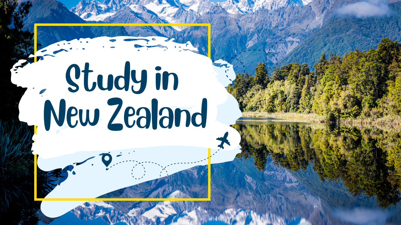 Study in New Zealand with Scholarships – Your Gateway to a Global Future